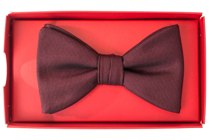 HUGO Schleife BOW TIE DRESSY