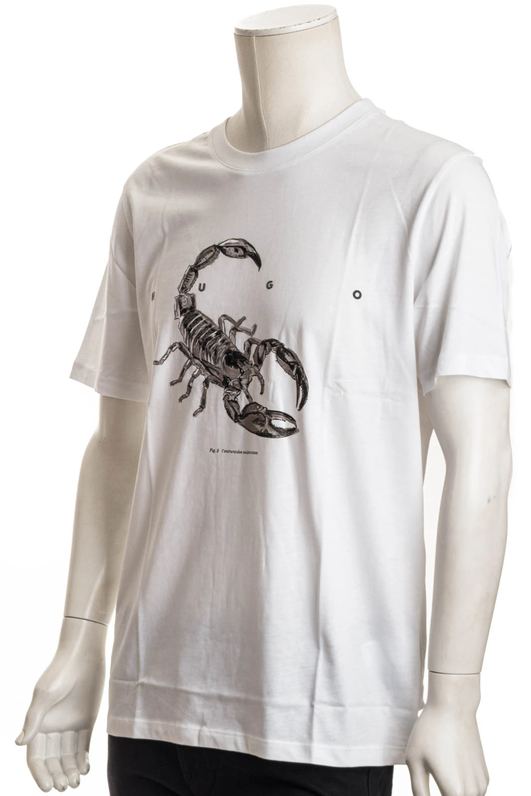 Shirt DISCORB – Bild 2