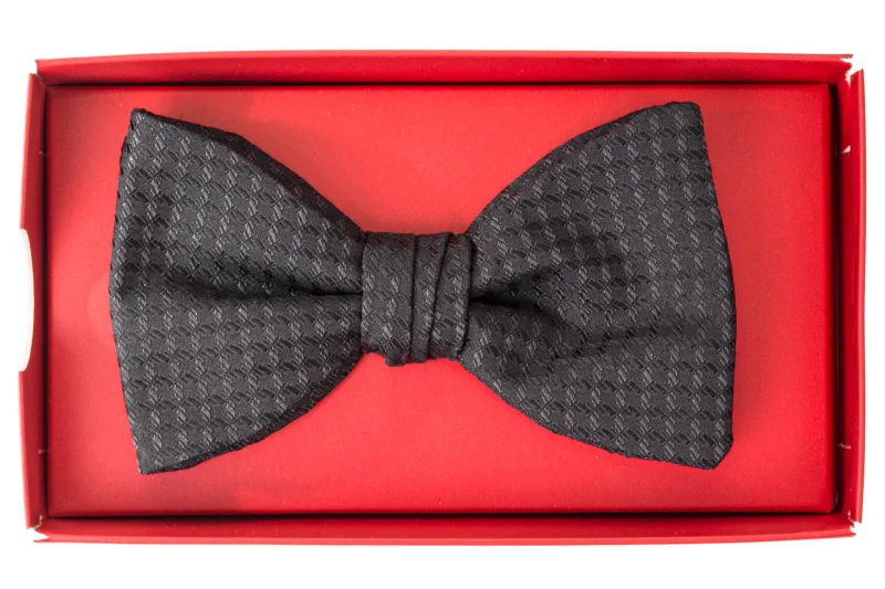 HUGO Fliege BOW TIE DRESSY